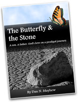 The Butterfly and the Stone