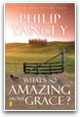 What's So Amazing About Grace?
