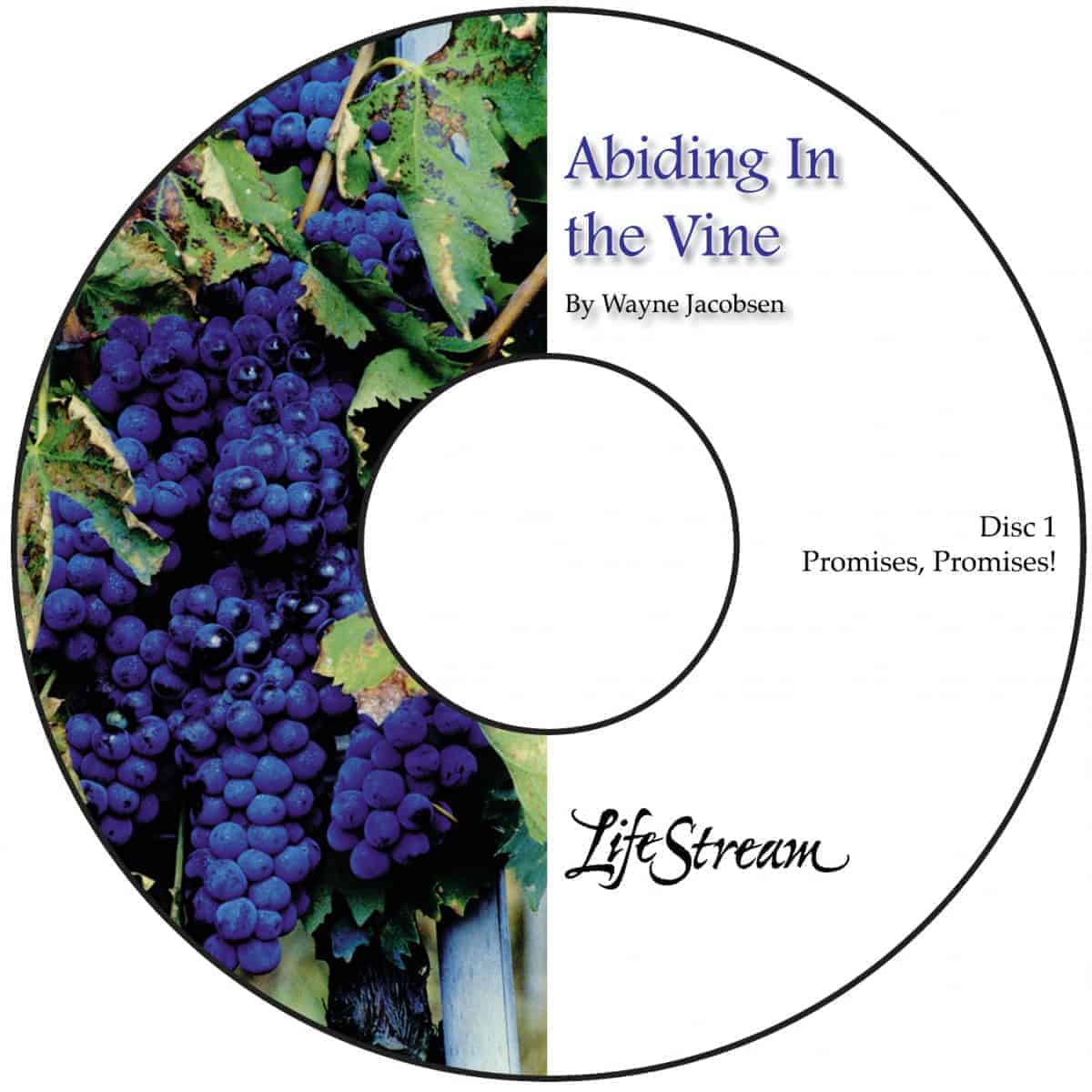 Abiding in the Vine [Audio] by Wayne Jacobsen