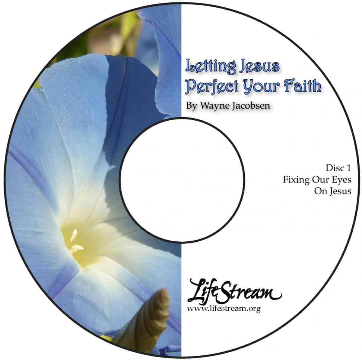 Letting Jesus Perfect Your Faith [Audio] by Wayne Jacobsen