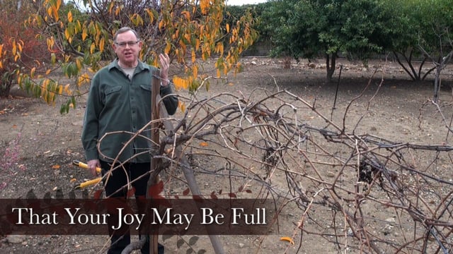 Engage 23: That Your Joy May Be Full