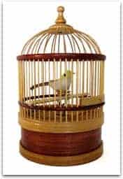 bird_in_cage_0